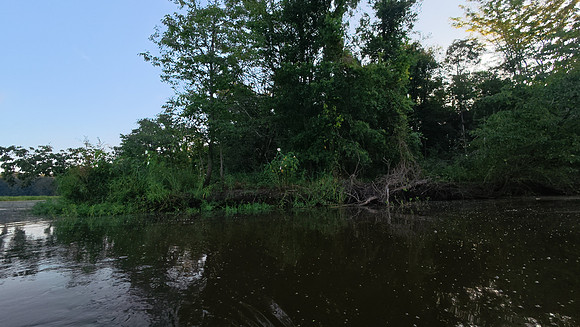Cabin Creek 20250726 428