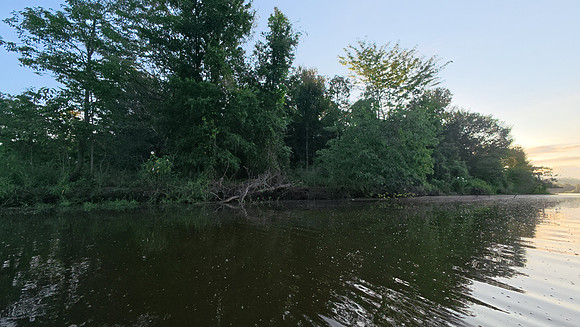 Cabin Creek 20250726 430