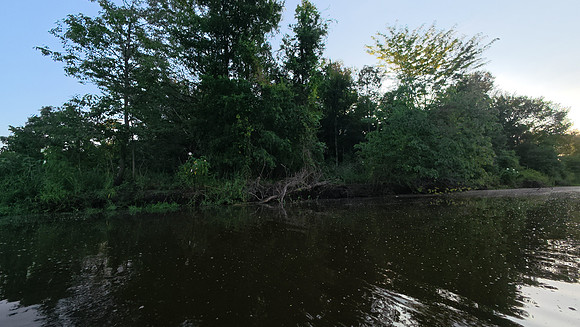 Cabin Creek 20250726 429
