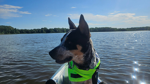Cabin Creek 0522202580