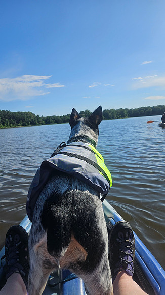 Cabin Creek 0522202582