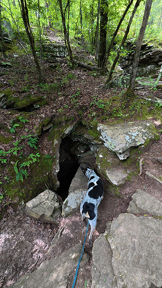 Devils Den State Park 20250512 007