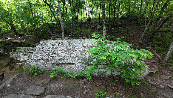 Devils Den State Park 20250512 013