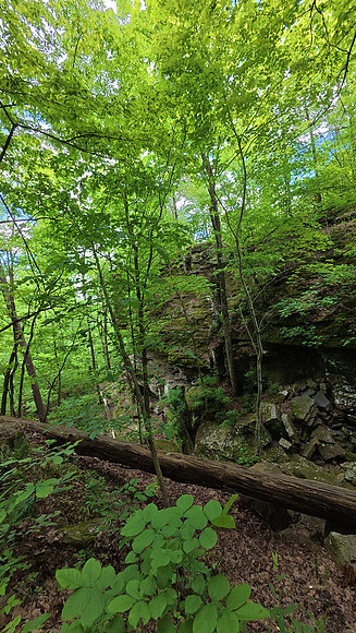 Devils Den State Park 20250512 015
