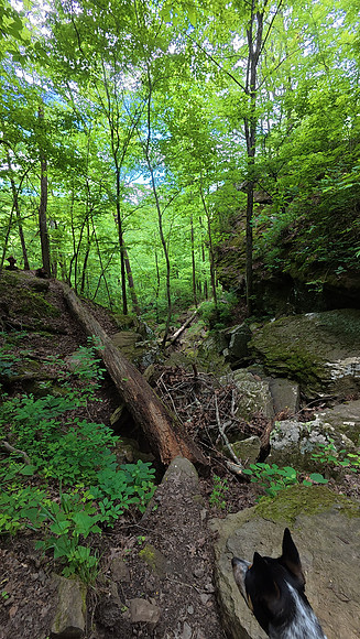 Devils Den State Park 20250512 017
