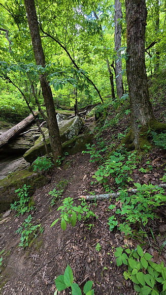 Devils Den State Park 20250512 019