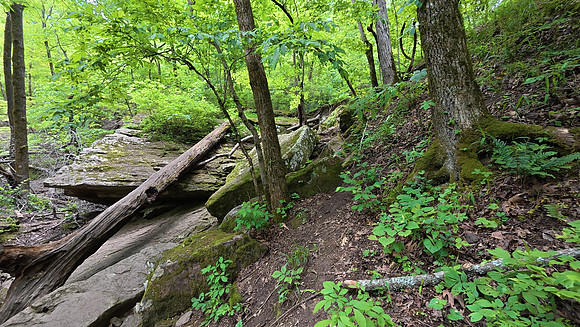 Devils Den State Park 20250512 020