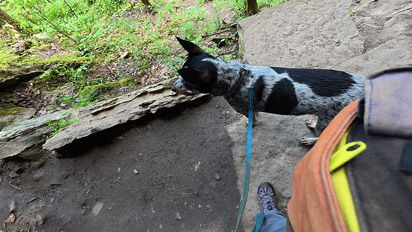 Devils Den State Park 20250512 027
