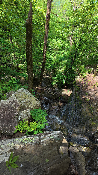 Devils Den State Park 20250512 039