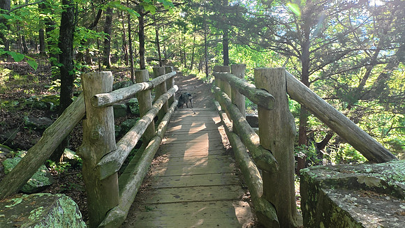 Devils Den State Park 20250513 625