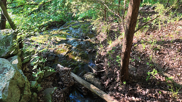 Devils Den State Park 20250513 626