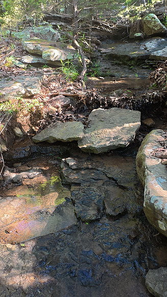 Devils Den State Park 20250513 640
