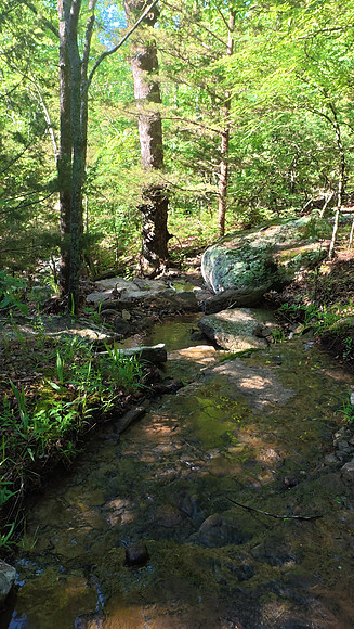 Devils Den State Park 20250513 641