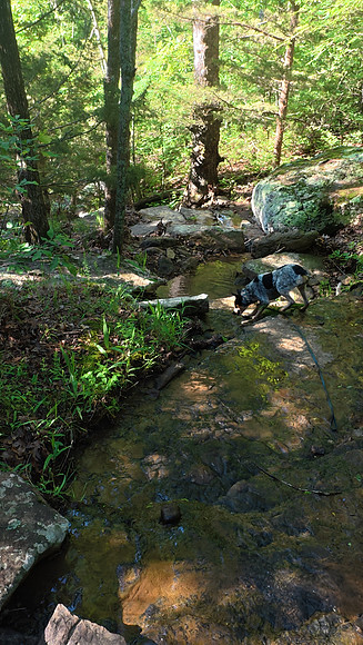 Devils Den State Park 20250513 642
