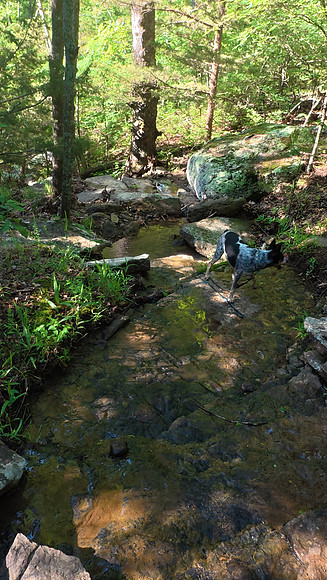 Devils Den State Park 20250513 643