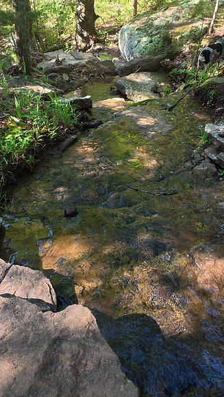 Devils Den State Park 20250513 644
