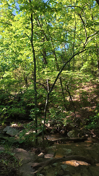 Devils Den State Park 20250513 647