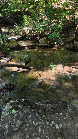 Devils Den State Park 20250513 648