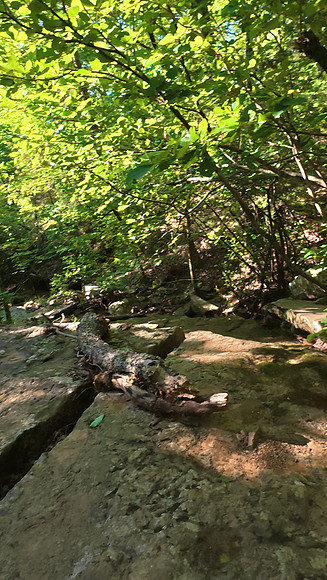 Devils Den State Park 20250513 652