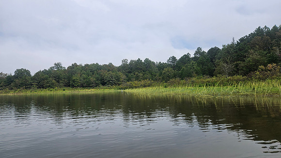 ANO Effluent Bay 20250920 310