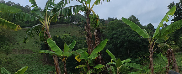 Lanquin Guatemala 20250625 162