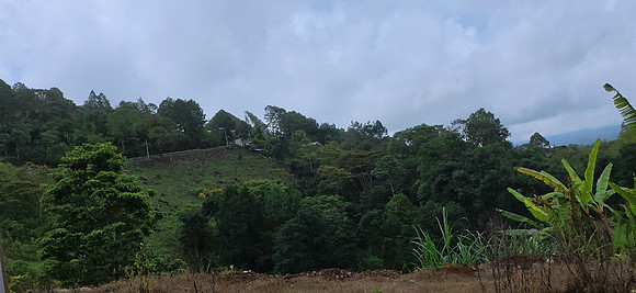Lanquin Guatemala 20250625 165