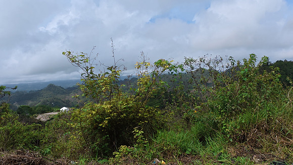 Lanquin Guatemala 20250625 167