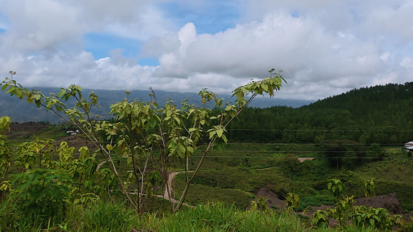 Lanquin Guatemala 20250625 190
