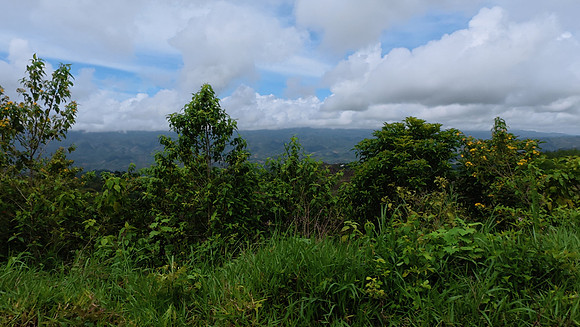 Lanquin Guatemala 20250625 196