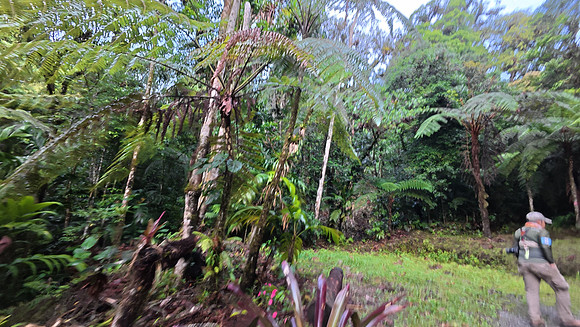 Ranchitos de Quetzal 20250627 081