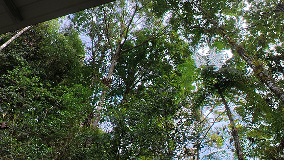 Ranchitos de Quetzal 20250627 096