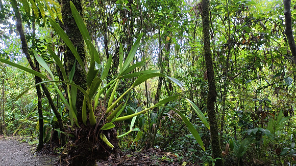 Ranchitos de Quetzal 20250627 136