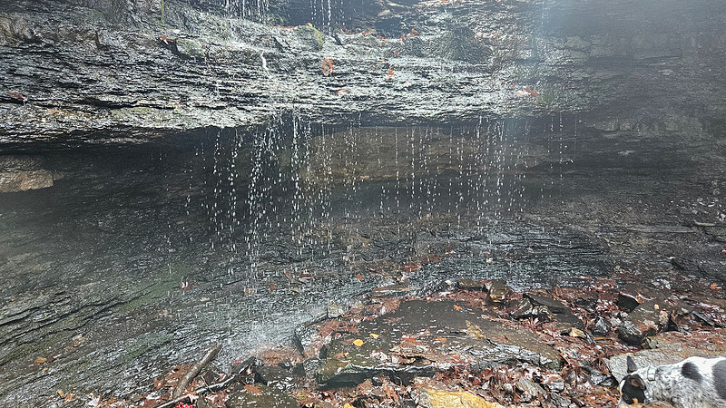 Lake Alma Trails 20260228 202