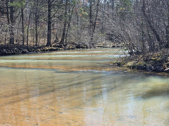 Big Shoals Falls 20260317 36