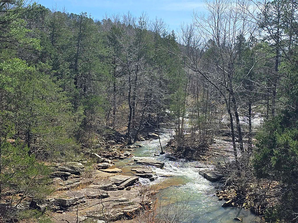 Big Shoals Falls 20260317 29