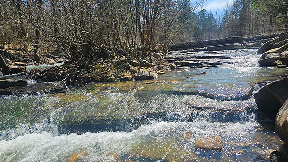 Big Shoal Falls 20260313 22