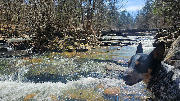 Big Shoal Falls 20260313 21