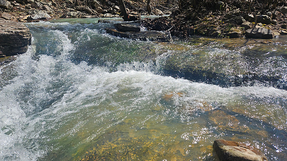 Big Shoal Falls 20260313 18