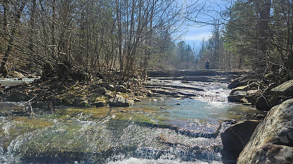 Big Shoal Falls 20260313 17