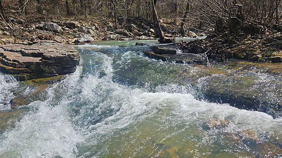 Big Shoal Falls 20260313 16
