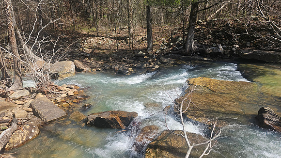 Big Shoal Falls 20260313 10