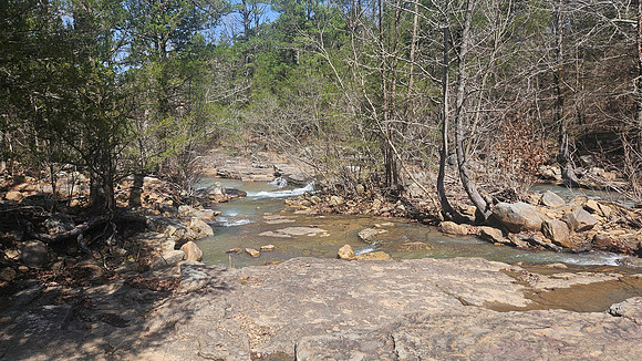 Big Shoal Falls 20260313 07