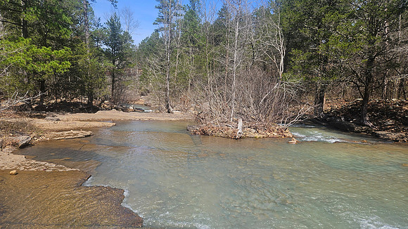 Big Shoal Falls 20260313 05