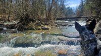 Big Shoal Falls 20260313 20