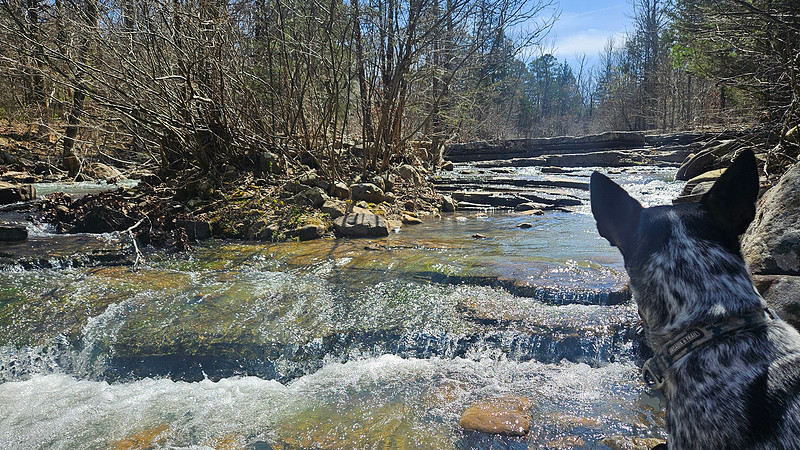 Big Shoal Falls 20260313 20