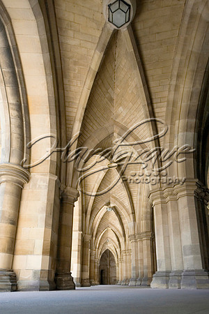 church041