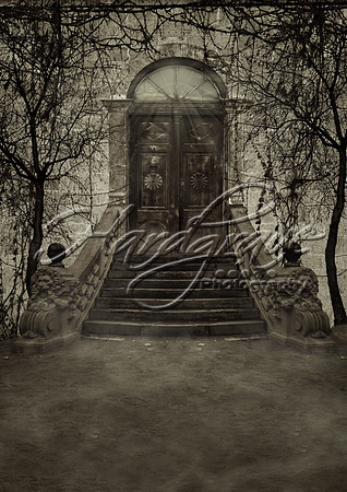 dark_door_bg____by_the_night_bird-d3cqm69