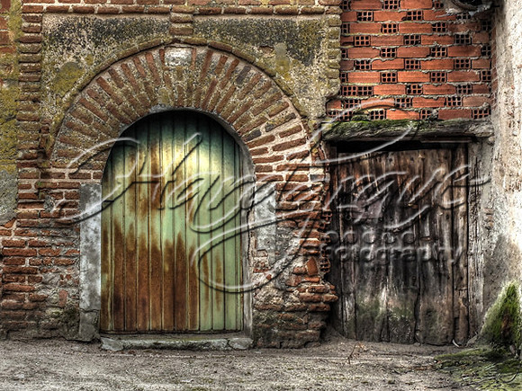 door009