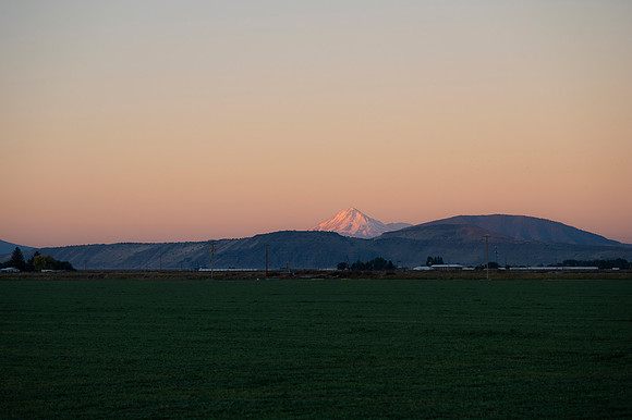 _DSC7104