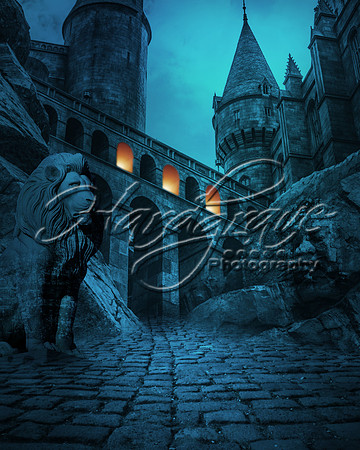 FantasyWizardDigitalBackdrop-CastleGate